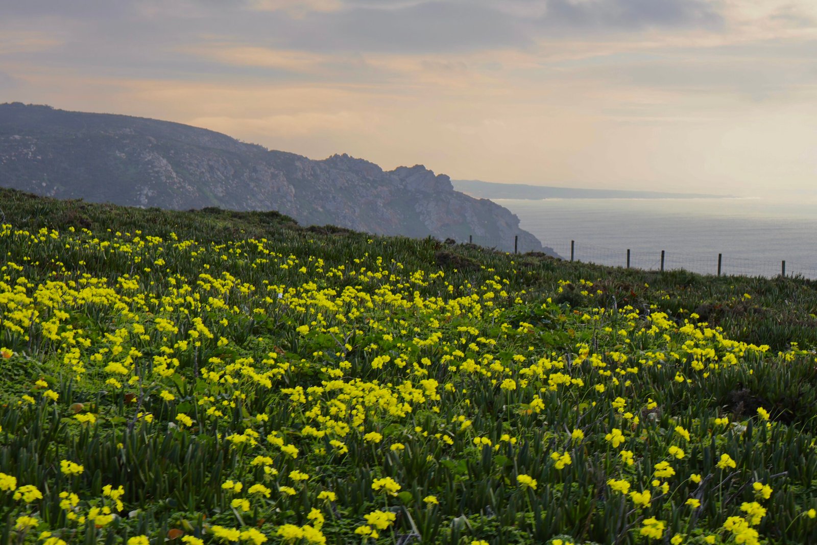 Cabo de Roca